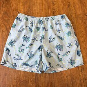 Brooks Brothers swim trunks